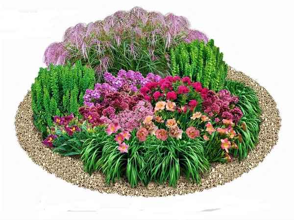 Клумба из многолетников для начинающих: схемы +Фото и Видео