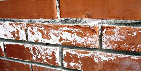 Как не допустить высолы на кирпичной кладке? Методы борьбы +Видео