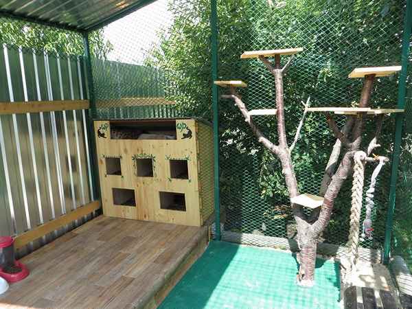 Как сделать Вольер для кошек своими руками: в доме для дачи/квартирыПошаговая инструкция +Фото и Видео