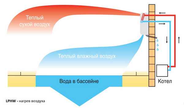 Как выбрать осушитель воздуха для бассейна? Советы и рекомендации +Фото и Видео