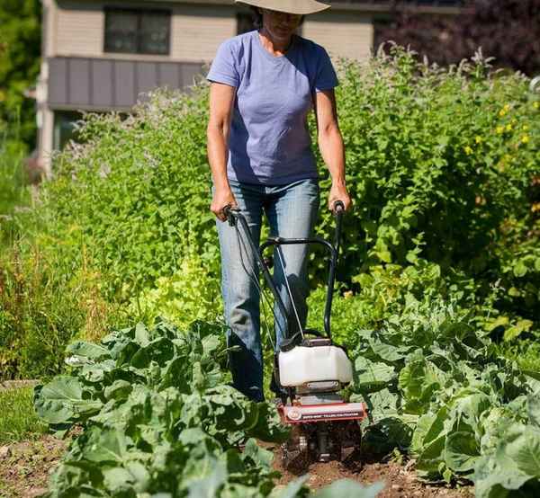 Как выбрать культиватор: обзор недорогих и надежных ручных моделей для дачи, их преимущества и недостатки