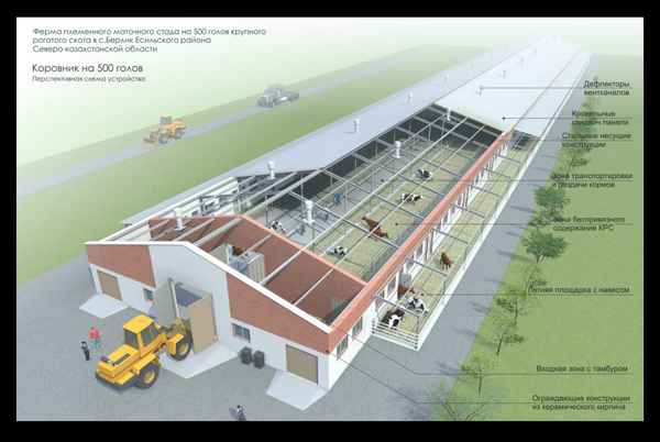 Проектирование коровников и животноводческих комплексов: Строительство от фундамента до кровли Инструкция +Фото и Видео
