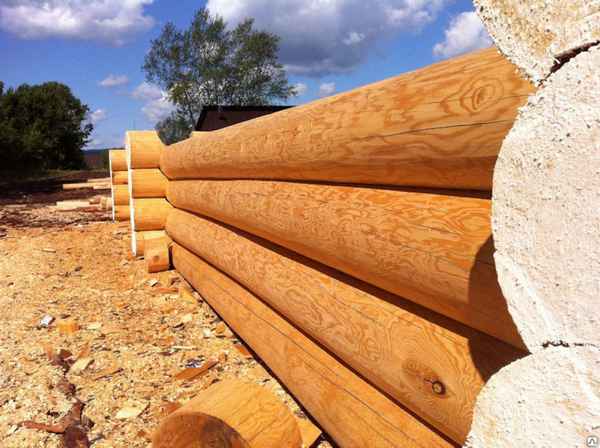 Строительство сруба из лиственницы Сибирской: Преимущества и недостатки +Видео и Фото