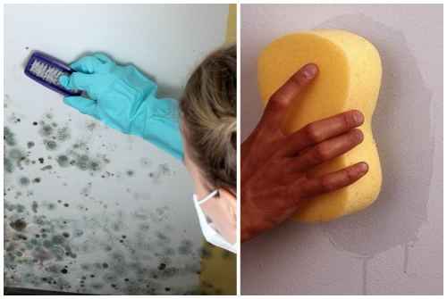 Как убрать пятна жира с обоев? Обзор +Видео