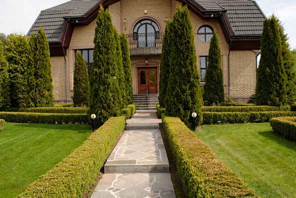 Красивая живая изгородь вокруг дома: как вырастить? Обзор +Видео