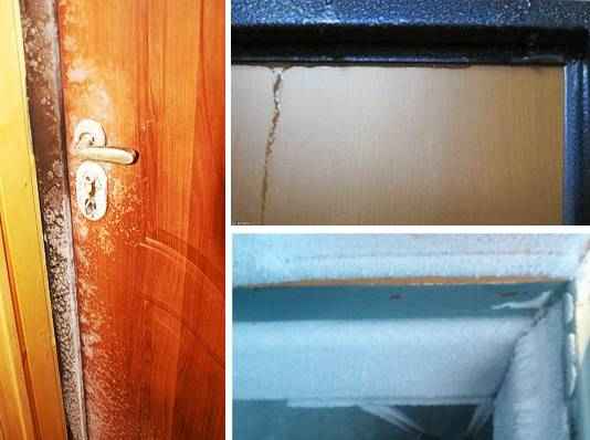 Почему потеет входная дверь – причины, устранение проблемы +Видео