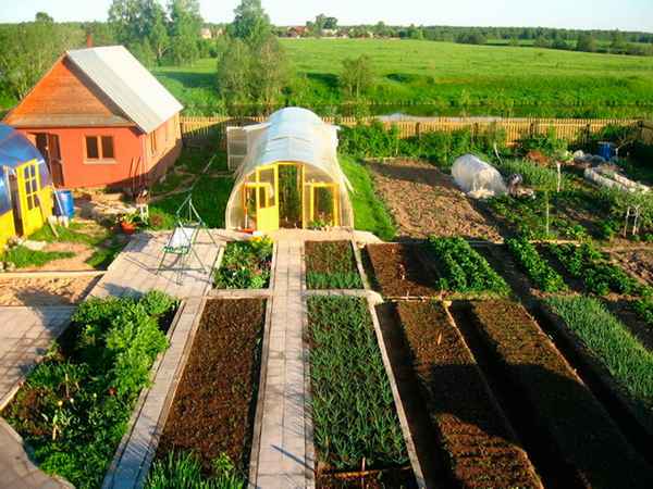 Бизнес на даче – как использовать земельный участок по максимуму