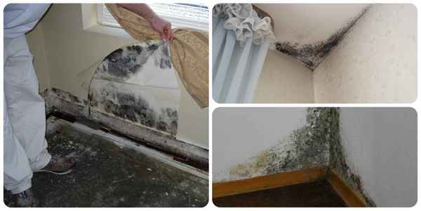 Как защитить дом от влаги: защита уже построенного дома от сырости: предотвращаем грибок и плесень Инструкция +Фото