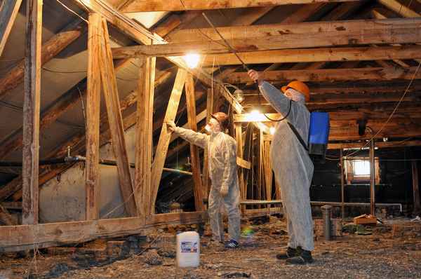 Обработка чердачных помещений огнезащитным составом: периодичность проведения процедур Пошаговая инструкция +Фото и Видео